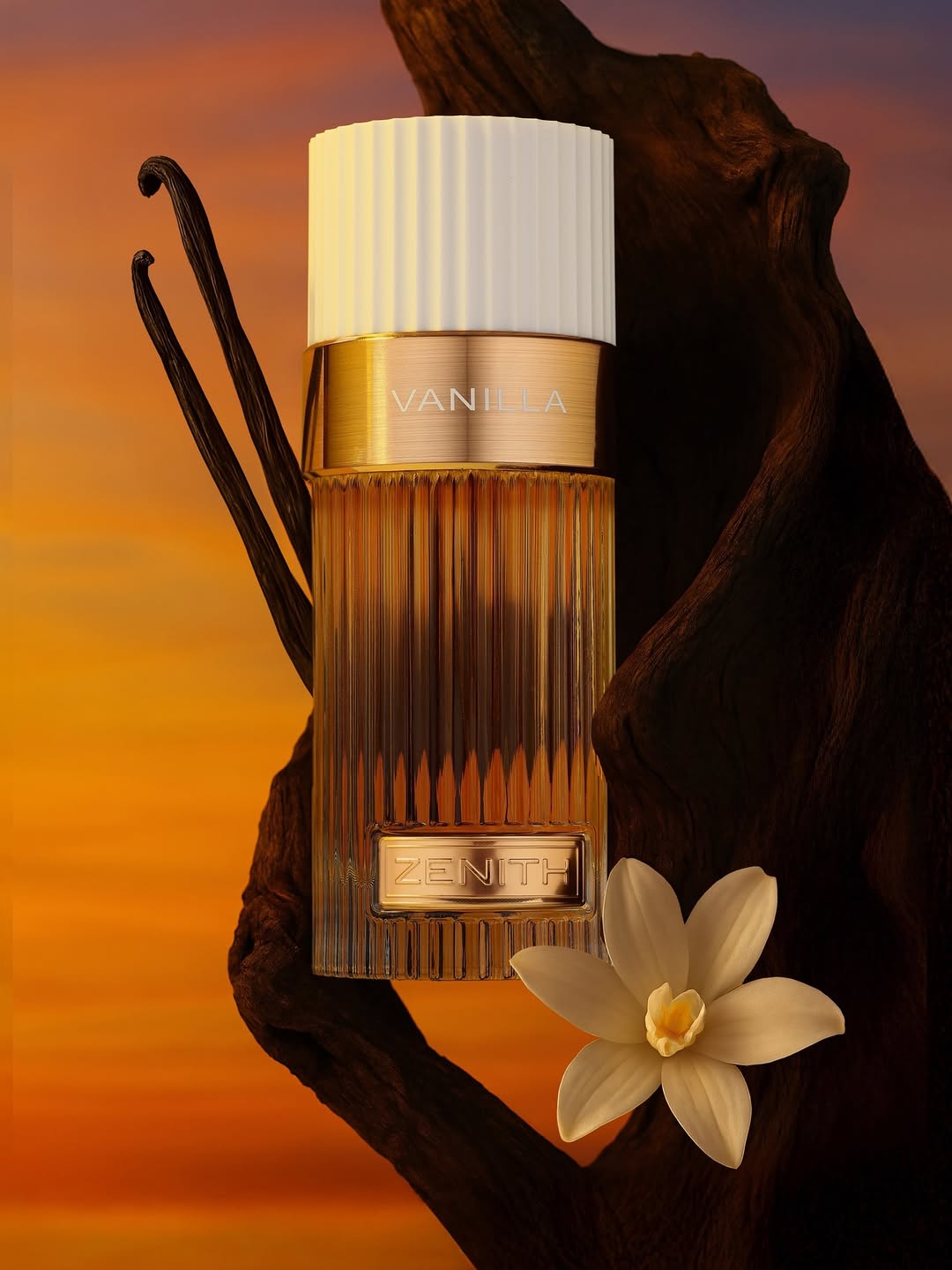 French Avenue Vanilla Banner